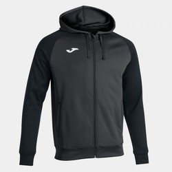 Academy Iv Zip-Up Hoodie Anthracite Black