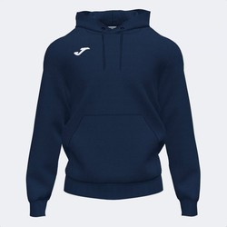 Championship Iv Hoodie Navy