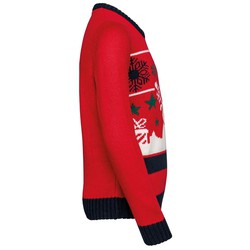 Jersey cuello redondo de Navidad infantil