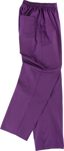 Sanitary pants with elastic waist, zip fly, no pockets Purple
