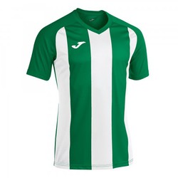 T-shirt a maniche corte Pisa Ii verde bianca