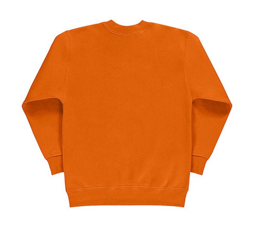 Boy's sweatshirt