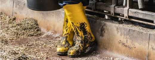 WATER BOOTS
