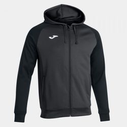 Academy Iv Zip-Up Hoodie Anthracite Black