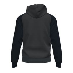 Academy Iv Zip-Up Hoodie Anthracite Black