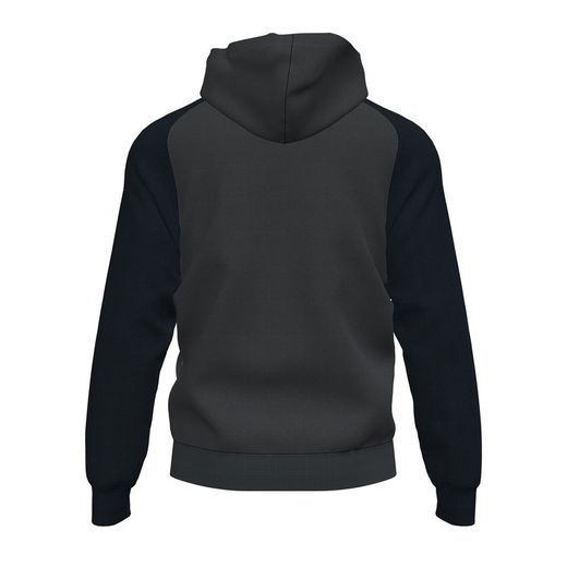 Academy Iv Zip-Up Hoodie Anthracite Black