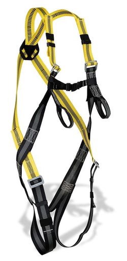 Arnes Arisafe 2 Steelpro