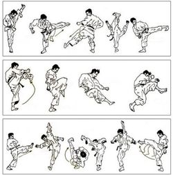 Box Krf Dc Aparato Ejercicios Dual Kick Spinner*