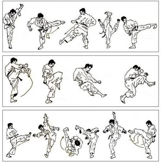 Box Krf Dc Aparato Ejercicios Dual Kick Spinner*