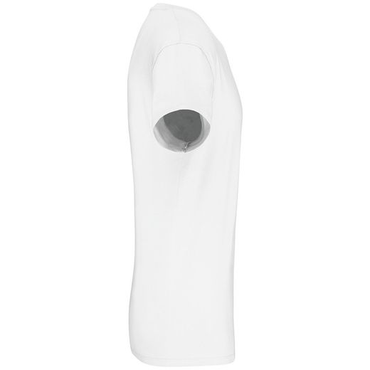 Herren T-Shirt Bio190 IC