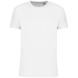Herren T-Shirt Bio190 IC