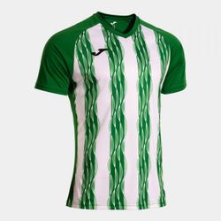 Inter V Short Sleeve T-Shirt Green White