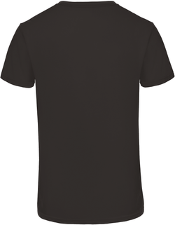 Men's TriBlend crew neck T-shirt