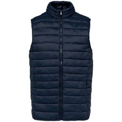Leichter umweltfreundlicher Bodywarmer für Herren
