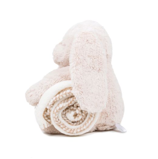 Rabbit Blanket