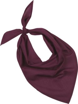 Fiesta - Bandana