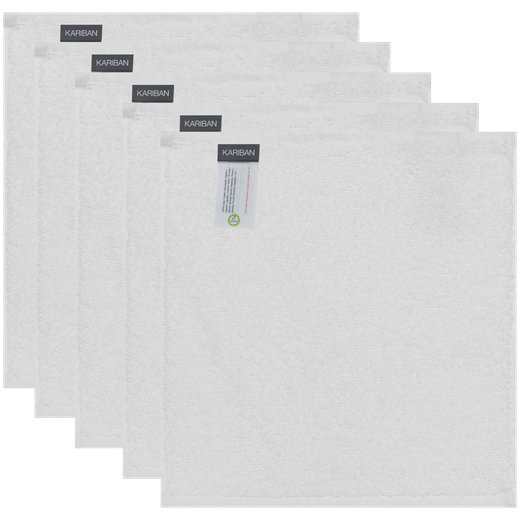 Gästehandtuch 30 x 30 cm  Set von 5 Handtüchern