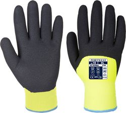 Artcic Winter Handschuh