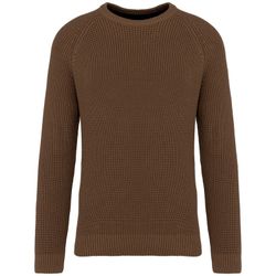 Umweltfreundlicher Herrenpullover in Grobstrick