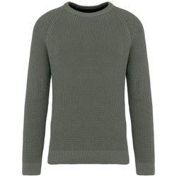 Umweltfreundlicher Herrenpullover in Grobstrick