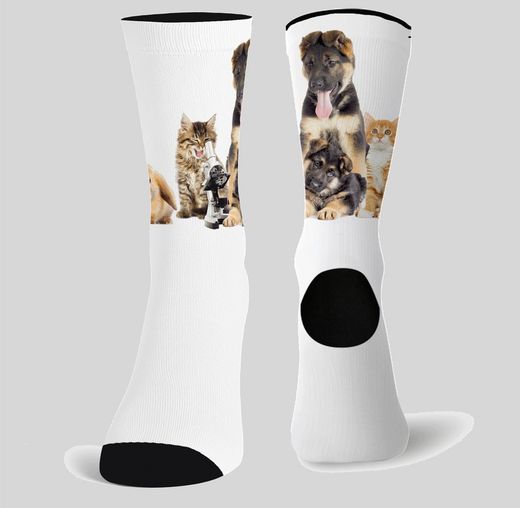 Calcetines Zoo