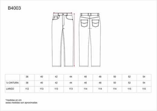 Pantalón Vaquero 5 bolsillos Vaquero