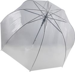 Transparent umbrella