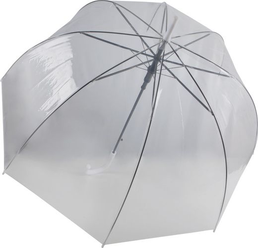 Transparent umbrella