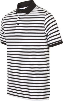 Striped Jersey Polo
