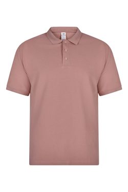 Polo manga corta 210