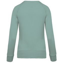 Bio-Baumwoll-Sweatshirt mit Rundhalsausschnitt und Raglanärmeln