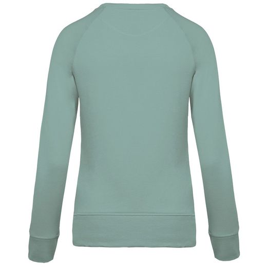 Bio-Baumwoll-Sweatshirt mit Rundhalsausschnitt und Raglanärmeln
