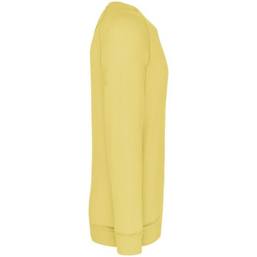 Sudadera algodón orgánico con cuello redondo y mangas raglán