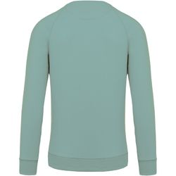 Sudadera algodón orgánico con cuello redondo y mangas raglán