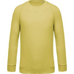 Sudadera algodón orgánico con cuello redondo y mangas raglán