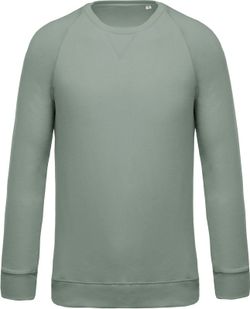 Bio-Baumwoll-Sweatshirt mit Rundhalsausschnitt und Raglanärmeln
