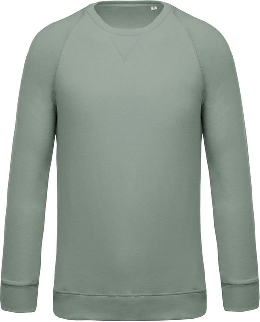 Bio-Baumwoll-Sweatshirt mit Rundhalsausschnitt und Raglanärmeln