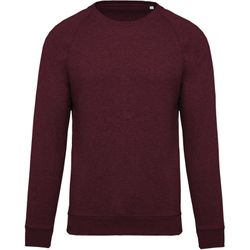 Sudadera algodón orgánico con cuello redondo y mangas raglán