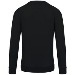 Sudadera algodón orgánico con cuello redondo y mangas raglán