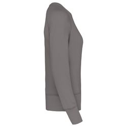 Bio-Baumwoll-Sweatshirt mit Rundhalsausschnitt und Raglanärmeln