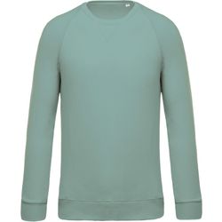 Sudadera algodón orgánico con cuello redondo y mangas raglán
