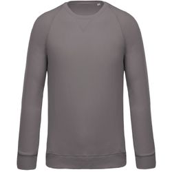 Sudadera algodón orgánico con cuello redondo y mangas raglán