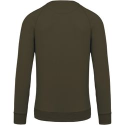 Sudadera algodón orgánico con cuello redondo y mangas raglán