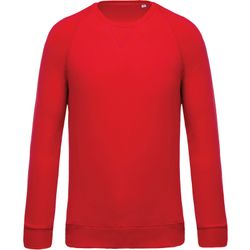 Sudadera algodón orgánico con cuello redondo y mangas raglán