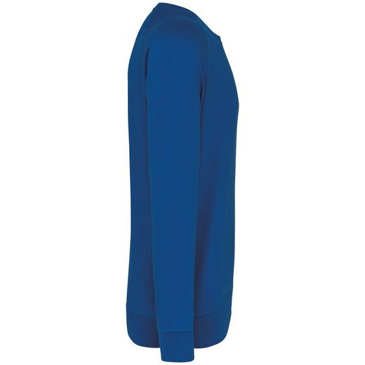 Sudadera algodón orgánico con cuello redondo y mangas raglán
