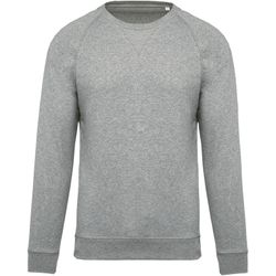 Sudadera algodón orgánico con cuello redondo y mangas raglán