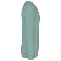 Sudadera algodón orgánico con cuello redondo y mangas raglán