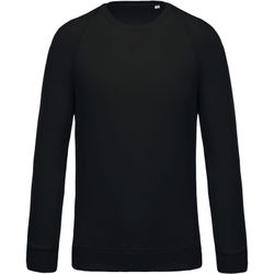 Sudadera algodón orgánico con cuello redondo y mangas raglán