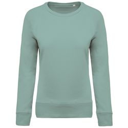 Bio-Baumwoll-Sweatshirt mit Rundhalsausschnitt und Raglanärmeln