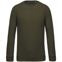 Sudadera algodón orgánico con cuello redondo y mangas raglán